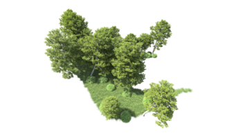 Grün Wald isoliert auf Hintergrund. 3d Rendern - - Illustration png