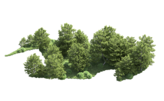 verde floresta isolado em fundo. 3d Renderização - ilustração png