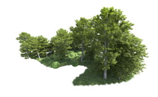 Green forest isolated on background. 3d rendering - illustration png