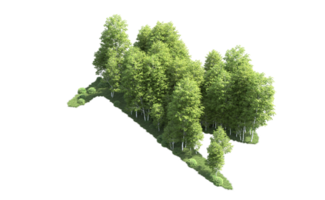 Green forest isolated on background. 3d rendering - illustration png