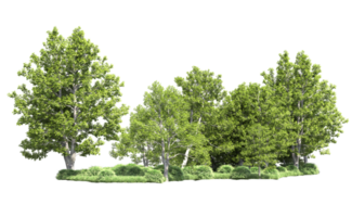 Green forest isolated on background. 3d rendering - illustration png