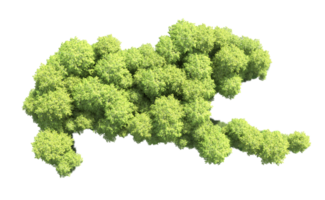 Green forest isolated on background. 3d rendering - illustration png