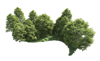 Green forest isolated on background. 3d rendering - illustration png