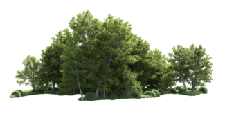 Green forest isolated on background. 3d rendering - illustration png