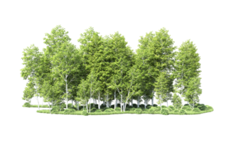 Green forest isolated on background. 3d rendering - illustration png