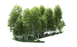 Green forest isolated on background. 3d rendering - illustration png