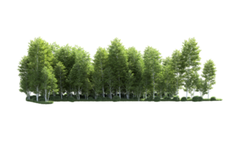 Green forest isolated on background. 3d rendering - illustration png