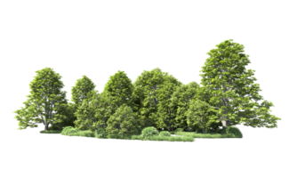 Green forest isolated on background. 3d rendering - illustration png