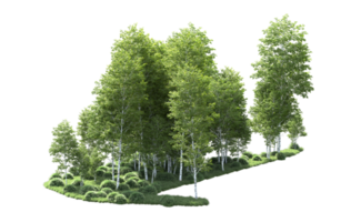 Grün Wald isoliert auf Hintergrund. 3d Rendern - - Illustration png