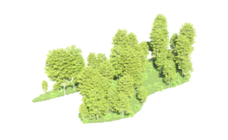 verde floresta isolado em fundo. 3d Renderização - ilustração png