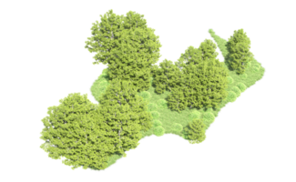 verde foresta isolato su sfondo. 3d interpretazione - illustrazione png