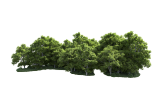 Green forest isolated on background. 3d rendering - illustration png