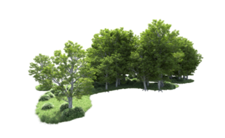 Green forest isolated on background. 3d rendering - illustration png