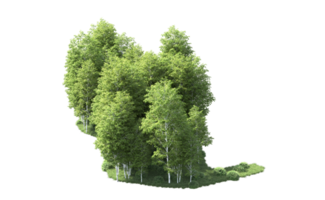 Green forest isolated on background. 3d rendering - illustration png