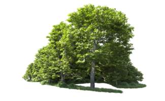 Green forest isolated on background. 3d rendering - illustration png