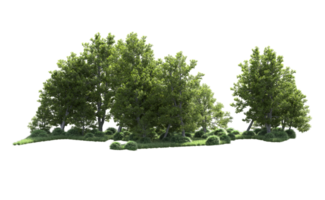 Green forest isolated on background. 3d rendering - illustration png