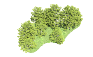 verde floresta isolado em fundo. 3d Renderização - ilustração png