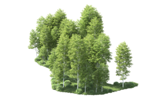 Green forest isolated on background. 3d rendering - illustration png