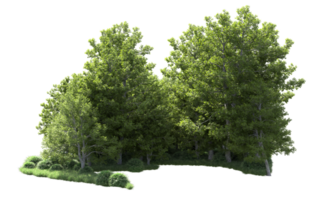 Green forest isolated on background. 3d rendering - illustration png