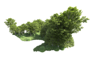 Green forest isolated on background. 3d rendering - illustration png