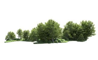 Green forest isolated on background. 3d rendering - illustration png