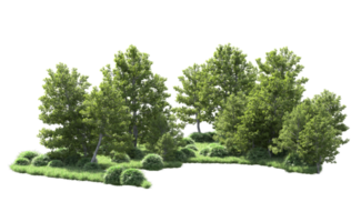 verde floresta isolado em fundo. 3d Renderização - ilustração png