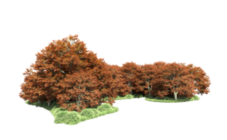 Green forest isolated on background. 3d rendering - illustration png