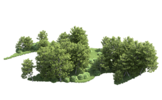 Green forest isolated on background. 3d rendering - illustration png