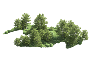 Green forest isolated on background. 3d rendering - illustration png