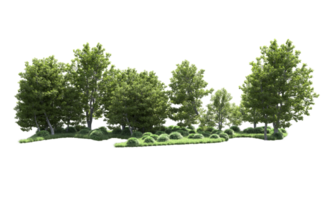 Green forest isolated on background. 3d rendering - illustration png