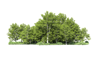 Green forest isolated on background. 3d rendering - illustration png