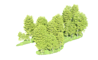 verde floresta isolado em fundo. 3d Renderização - ilustração png