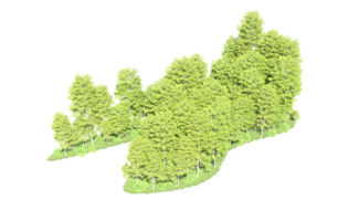 verde floresta isolado em fundo. 3d Renderização - ilustração png