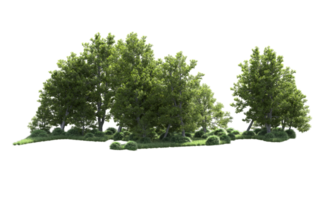 Grün Wald isoliert auf Hintergrund. 3d Rendern - - Illustration png