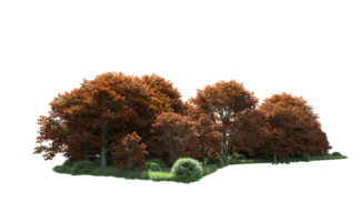 Green forest isolated on background. 3d rendering - illustration png