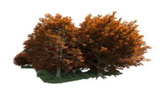 Grün Wald isoliert auf Hintergrund. 3d Rendern - - Illustration png