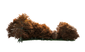 Green forest isolated on background. 3d rendering - illustration png