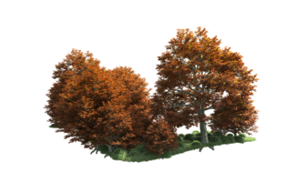 vert forêt isolé sur Contexte. 3d le rendu - illustration png