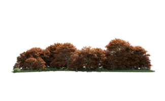 Green forest isolated on background. 3d rendering - illustration png