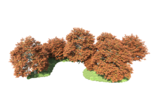 Grün Wald isoliert auf Hintergrund. 3d Rendern - - Illustration png