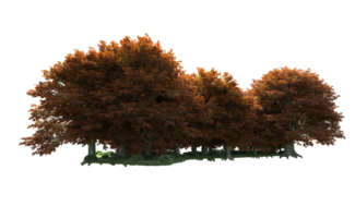 Green forest isolated on background. 3d rendering - illustration png