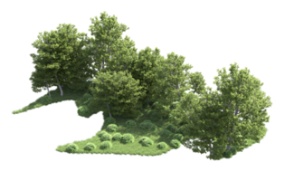 Green forest isolated on background. 3d rendering - illustration png