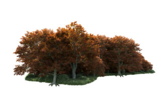 Green forest isolated on background. 3d rendering - illustration png