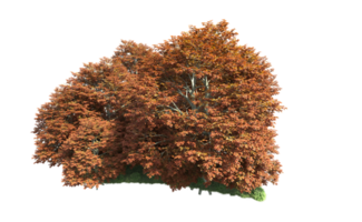 Grün Wald isoliert auf Hintergrund. 3d Rendern - - Illustration png