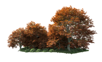 Green forest isolated on background. 3d rendering - illustration png