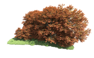 Green forest isolated on background. 3d rendering - illustration png