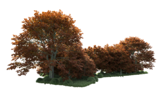 Green forest isolated on background. 3d rendering - illustration png