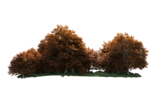 Green forest isolated on background. 3d rendering - illustration png