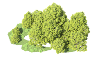 verde bosque aislado en antecedentes. 3d representación - ilustración png