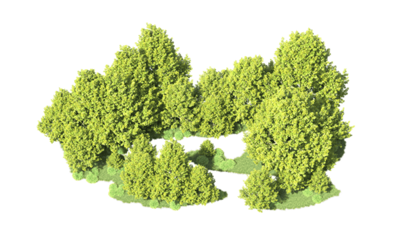 grön skog isolerat på bakgrund. 3d tolkning - illustration png